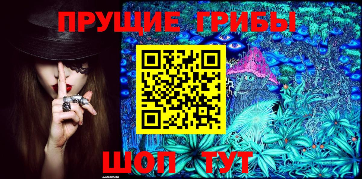 Медногорск  Псилоцибиновые грибы ЛСД  Псилоцибиновые грибы Cubensis  Вход с VPN 